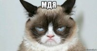 мдя 