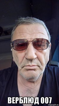  верблюд 007