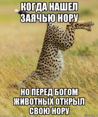 когда нашел заячью нору но перед богом животных открыл свою нору