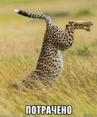  потрачено