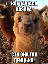 когда даса казара, сто она тая деицька!