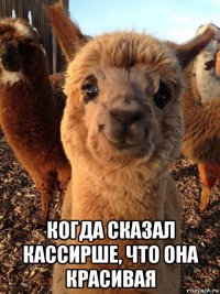  когда сказал кассирше, что она красивая