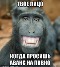 твое лицо когда просишь аванс на пивко