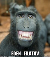  eden_filatov