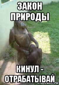 закон природы кинул - отрабатывай