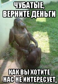 чубатые, верните деньги как вы хотите нас не интересует