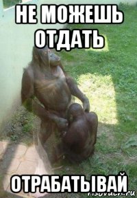 не можешь отдать отрабатывай