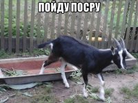 пойду посру 