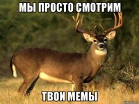 мы просто смотрим твои мемы