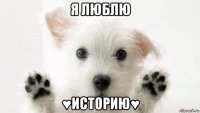 я люблю ♥историю♥