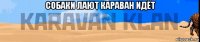 собаки лают караван идёт 