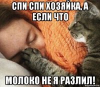 спи спи хозяйка, а если что молоко не я разлил!