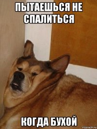 пытаешься не спалиться когда бухой
