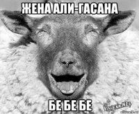 жена али-гасана бе бе бе