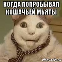 когда попробывал кошачьей мьяты 