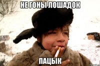 не гоны лошадок пацык