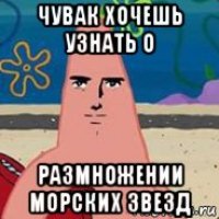 чувак хочешь узнать о размножении морских звезд