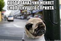 когда заказчик меняет скоп текущего спринта 