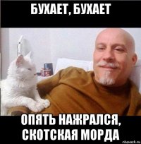 бухает, бухает опять нажрался, скотская морда