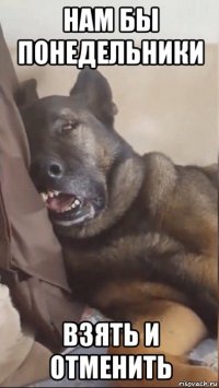 нам бы понедельники взять и отменить