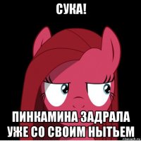 сука! пинкамина задрала уже со своим нытьем