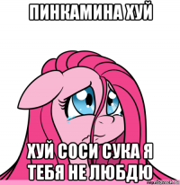 пинкамина хуй хуй соси сука я тебя не любдю