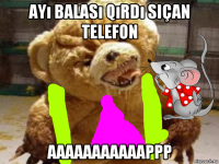 ayı balası qırdı siçan telefоn аааааааааааррр