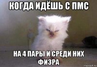 когда идёшь с пмс на 4 пары и среди них физра