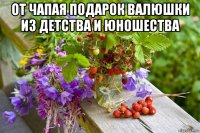 от чапая подарок валюшки из детства и юношества 