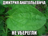 дмитрия анатольевича не уберегли
