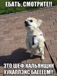 ебать, смотрите!! это шеф кальянщик хукаплэйс баеееем!!