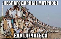 неблагодарные матрасы едут лечиться