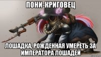 пони-криговец лошадка, рожденная умереть за императора лошадей