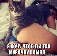 я хочу чтоб ты так мурочку помял...