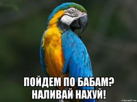 пойдем по бабам? наливай нахуй!