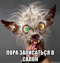  пора записаться в салон