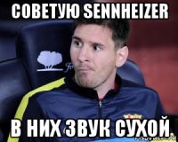 советую sennheizer в них звук сухой