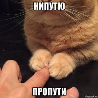 нипутю пропути