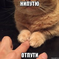 нипутю отпути