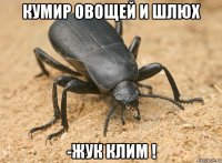 кумир овощей и шлюх -жук клим !