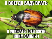 я всегда буду врать и унижать гоев !(жук клим саныч )