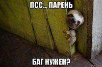 псс.., парень баг нужен?