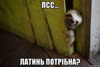 псс... латинь потрібна?