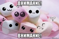 внимание! внимание!