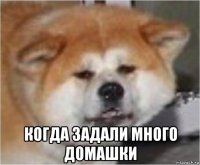  когда задали много домашки