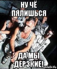 ну чё пялишься да мы дерзкие!