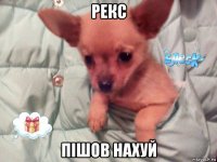 рекс пішов нахуй