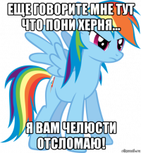 еще говорите мне тут что пони херня... я вам челюсти отсломаю!