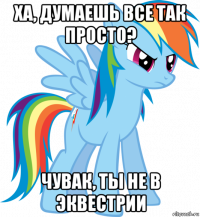 ха, думаешь все так просто? чувак, ты не в эквестрии