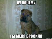 ну почему ты меня бросила